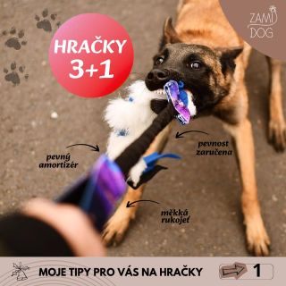 🥳 3+1 je zpět! A podívej se dál na moje tipy na hračky pro vaše chlupáče! 🤩 Cosi budem, Vánoce jsou za rohem! 🙄🎄...