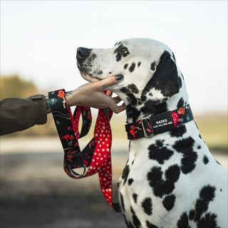 🍄 LIMITOVANÁ EDICE – MUCHOMŮRKY! 🍄 No řekněte sami, kdo by odolal těmhle lesním fešandám? ❤️ Nová stuha Muchomůrky je...