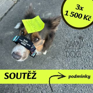 Podmínky soutěže: Jak se zapojit 1️⃣ Vyfoť svého mazlíčka s produktem od Zamidog 2️⃣ Fotka by měla být něčím zajímavá –...