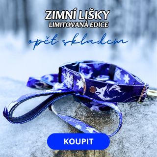 Zimní lištičky skladem! Dnes má přijet Martin na bílém koni, tak co dorazí? :D