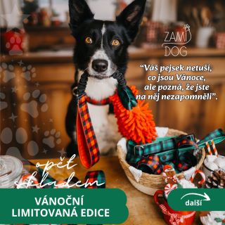 🎄 Vánoční limitka je zpět! 🎄 A s ní hned 3 speciální akce ✨ 1) Dárek k limitce - ke každé Vánoční limitované edici...
