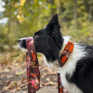 🦊Tenhle motiv byl hitem už minulý rok, ale vy jste si ho tak neskutečně oblíbili, že jste mi psali pořád dokola, ať ho...