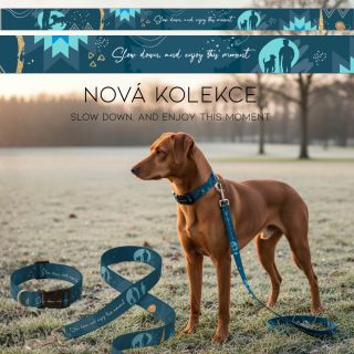 SLOW DOWN - kolekce pro kluky ⏳Každý, kdo miluje svého pejska, ví, jak rychle čas běží. 💙Dnes je to štěně plné energie,...